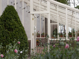 Supporting image for story: Inside stunningly recreated Victorian greenhouse open to public at Shropshire National Trust property