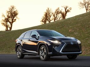 Supporting image for story: Lexus RX is a lean, green sporting machine