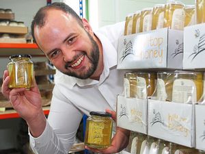 Supporting image for story: Move to save bees is a buzz for Newtown honey farm
