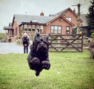 A giant leap for dog kind by Rummy.