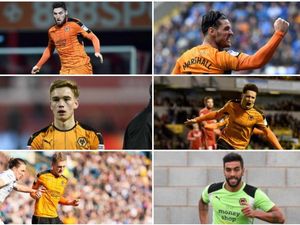 Supporting image for story: Fans' survey: How much is the Wolves squad worth?