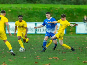 Supporting image for story: Alport spot on to maintain Vase run