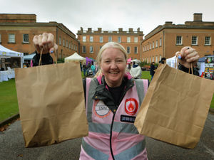 Supporting image for story: All the fun of the fair at Himley