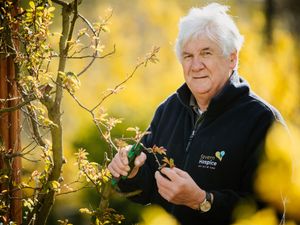 Supporting image for story: Severn Hospice head gardener retiring