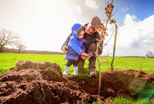 Oak tree planting at Boscobel House Shropshire. Picture by Jim Holden