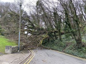 Supporting image for story: Four dead and others injured as 120mph Storm Eunice batters UK and Ireland