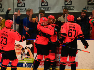 Supporting image for story: Late show earns Telford Tigers win in coach's 800th game