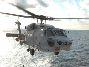 Supporting image for story: Collision during night-time drill caused deadly Japanese helicopter crash