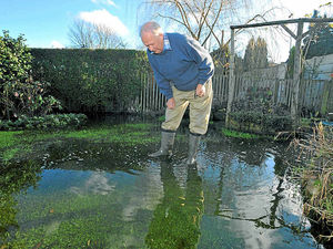 Supporting image for story: Gardener's misery as flooding takes its toll on beloved plants