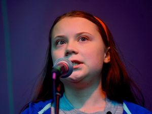 Supporting image for story: New species of beetle named after climate activist Greta Thunberg