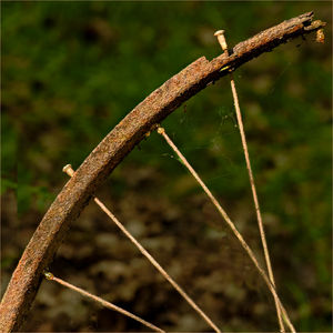 5. Phil Green - Recycle