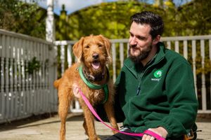 The Dog House is on every Thursday at 8pm on Channel 4. This week see’s it’s 100th dog rehomed on the show.