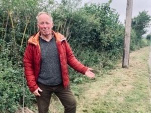 Supporting image for story: 'Put up signs to prevent unneeded mowing' says council after verge re-wilding row