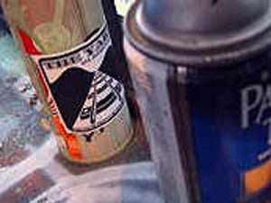 Supporting image for story: Vandalism tops tenants' gripes