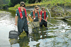 Supporting image for story: River Teme mission to save stranded fish after heatwave
