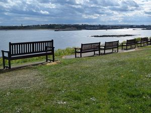 Supporting image for story