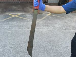 Supporting image for story: Machete found in garden of Wolverhampton home