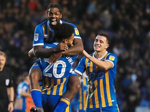 Supporting image for story: Shrewsbury Town comment: One defeat in 18 – is it fortress Meadow?