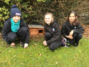 Supporting image for story: Midlands’ housebuilder helps Telford school children ‘give a hog a home’
