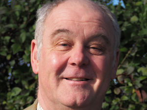 Supporting image for story: Old rhyme's lesson in getting rid of troublesome thistles