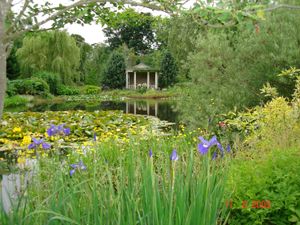 Supporting image for story: Shropshire gardens opening up to visitors