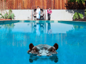 Supporting image for story: Album Review: Sparks - Hippopotamus