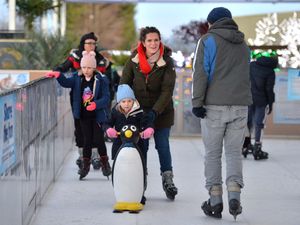 Supporting image for story: Families get their skates on at garden centre ice rink near Bridgnorth
