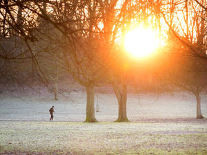Supporting image for story: Dudley dog mess fines hit £2,800