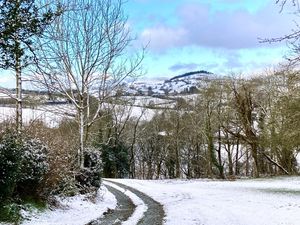 Supporting image for story: Parts of Shropshire wake up to snow as temperatures tumble