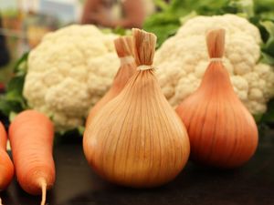 Supporting image for story: Horticulture section ditched for this year's Royal Welsh show in cost-cutting move