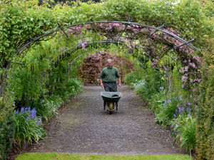 Supporting image for story: Gardens at Market Drayton hotel to open for charity