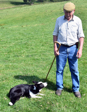 Brian Pugh and sheepdog  Bella. Image by Ted Edwards Photography