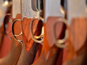 Supporting image for story: Man fined for not having a shotgun certificate