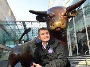 Supporting image for story: Birmingham art trail will celebrate iconic bull 