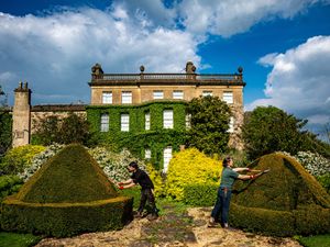 Supporting image for story: Gardeners quitting King’s Highgrove amid demands – report