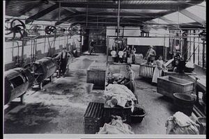 Stafford laundry, around the 1930s, as workers wash clothes and bedding