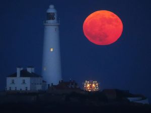 Supporting image for story: October supermoon ‘visible from anywhere’ on Tuesday night, say astronomers
