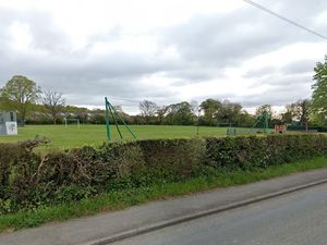 Supporting image for story: Tree in Llanymynech that has 'high public amenity value' cannot be cut down