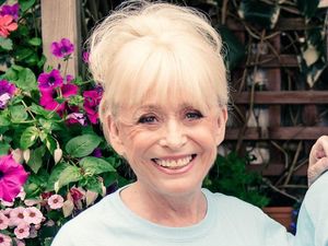 Supporting image for story