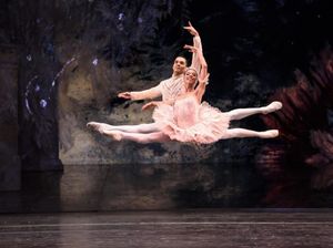 Supporting image for story: Birmingham Royal Ballet's Nutcracker to be streamed over world in theatre first