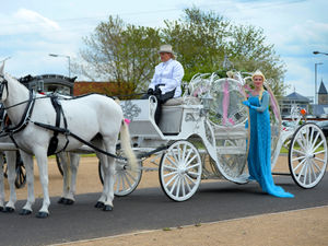 Supporting image for story: Would a Frozen funeral leave you feeling cold?