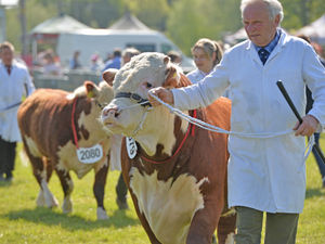 Supporting image for story: Organisers hail success of Shropshire County Show as next year's date is set 
