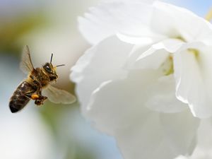 Supporting image for story: Ireland has warmest spring in 126 years – Met Eireann