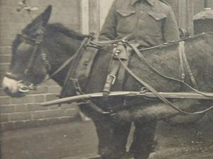 Supporting image for story: Meet Jessie the donkey who 'saved Christmas' in Shrewsbury during the Second World War