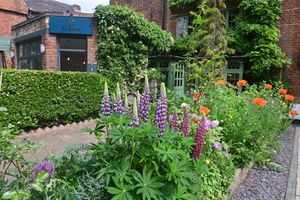 Love Your Neighbourhood, Tettenhall, Wolverhampton. Lovely planting on a residents garden mixes with shops next door