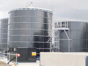 Supporting image for story: Stafford renewable energy plant bid set to be refused