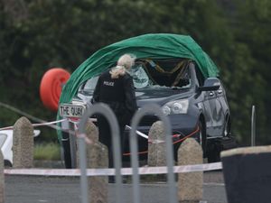 Supporting image for story