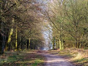 Supporting image for story: Trust 'interested' in link-up over Cannock Chase