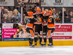 Supporting image for story: Tigers give it their all – but
they cannot buy a victory