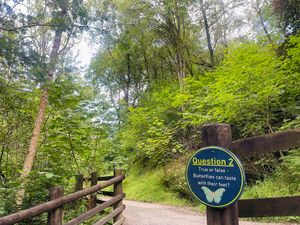 Supporting image for story: Test your nature knowledge at Lake Vyrnwy during the May half term
